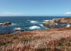 Yaquina Head "Outstanding Natural Area"